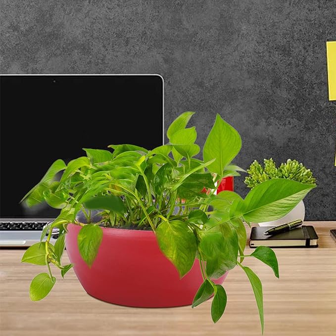 Vencer 11 Inch Plastic Round Self Watering Planter,Water Indicator,Modern Decorative Planter Pot for All House Plants Flowers, Herbs, Vegetables, Tropical,Red,VF-048R