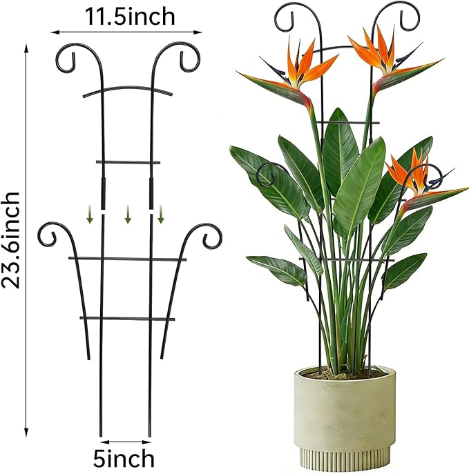 24 Inch Plant Trellis for Potted Plants Outdoor，Larger 2P Metal Garden Trellis for Climbing Plants Indoor Outdoor，Fan Shape Houseplant Monstera Trellis for Hoya Pothos Vine