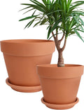 INGOFIN Terracotta Pot with Saucer 10&12 Inch - Ceramic Clay Pot for Plants with Drainage Hole, Large Terra Cotta Flower Planter with Tray for Indoor Outdoor Plants
