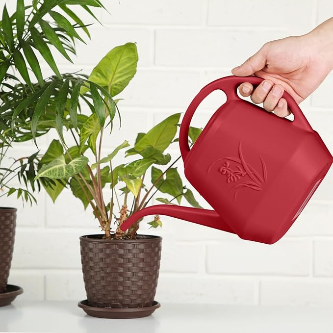 Hand Watering Can - for Home Plant Garden - 1/2 Gallon - Wine Red