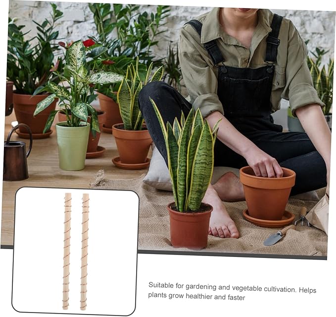 BESPORTBLE 2pcs Copper Wire Antenna Electroculture Gardening for Indoor and Outdoor Plants Lightweight Copper Coil for Signal Reception Suitable for Vegetables and Flowers