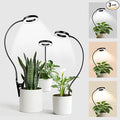 LORDEM Indoor Plant Grow Lights with 6/8/12/16H Auto Timer, 3 Spectrum Modes, Full Spectrum LED, Adjustable Height, for Small Plants, 3Pack Black