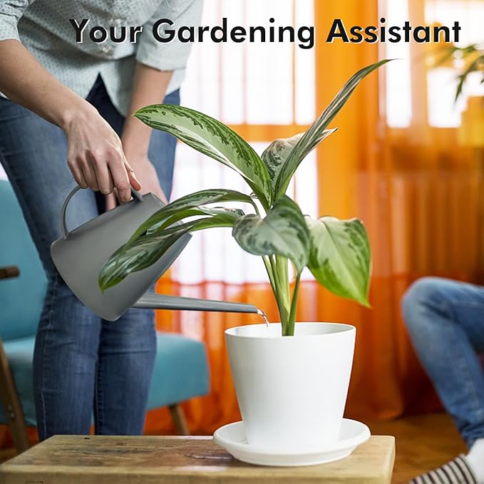 Watering Can for Indoor Outdoor Plants, Modern Small Watering Cans with Removable Nozzle, Long Spout Watering Can for Indoor Bonsai Plants Garden Flowers 1/2 Gallon 1.8L 60OZ