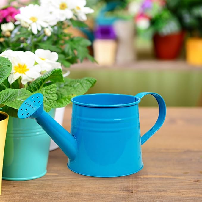 1.6L Watering Can for Indoor Outdoor Plants, Modern Small Watering Cans, Metal Flower Watering Can, Long Spout Watering Can-Colorful Plant Waterer for Indoor Bonsai Plants Garden Flowers (Blue)