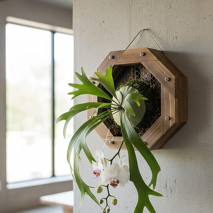 Staghorn Fern Mounting Kit - Wood Wall Planter for Orchids,Herbs & Indoor Plants | Hanging Plant Holder,Basket & Stand for Wall Decor(8.18inch)