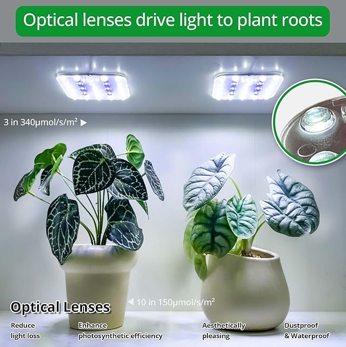 DOMMIA Full Spectrum LED Grow Light for Indoor Plants, 2 Panels 10W with 6/12/16h Timer Dimmable Plant Lights for Flower Veg Plant Growth USB, Bluish White, 2-Pack