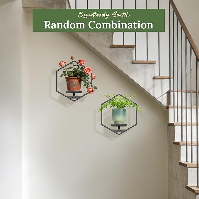 BXF Hexagon Floating Frame Plant Stand - 2 Pack Metal Wall Mounted Planters - Minimalist Geometric Hanging Decor for Indoor Succulents & Air Plants, Black