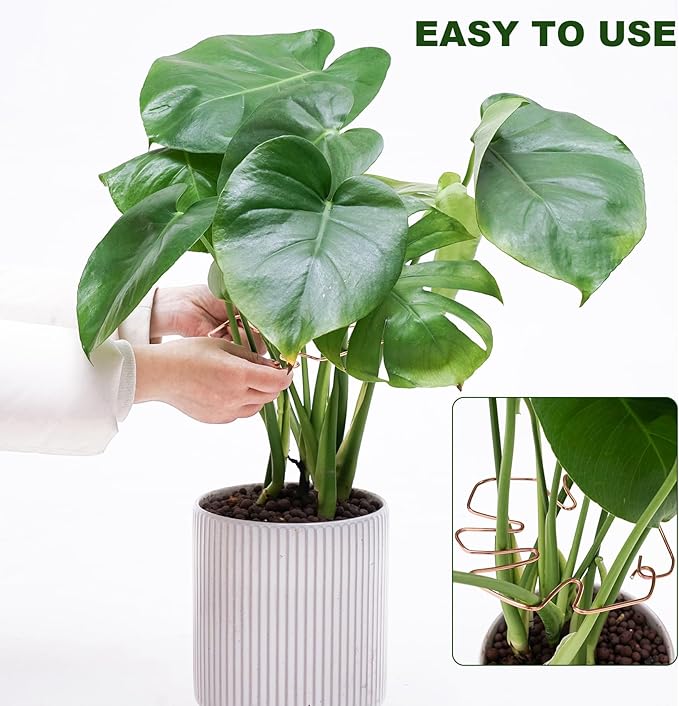 6PCS Plant Stem Support, Copper Monstera Plant Support, Unique Designed Stable Plant Support Stakes for Plants Stabilizer, Turtle Shell Bamboo Clamp Set for Outdoor & Indoor Plants Thriving Growth