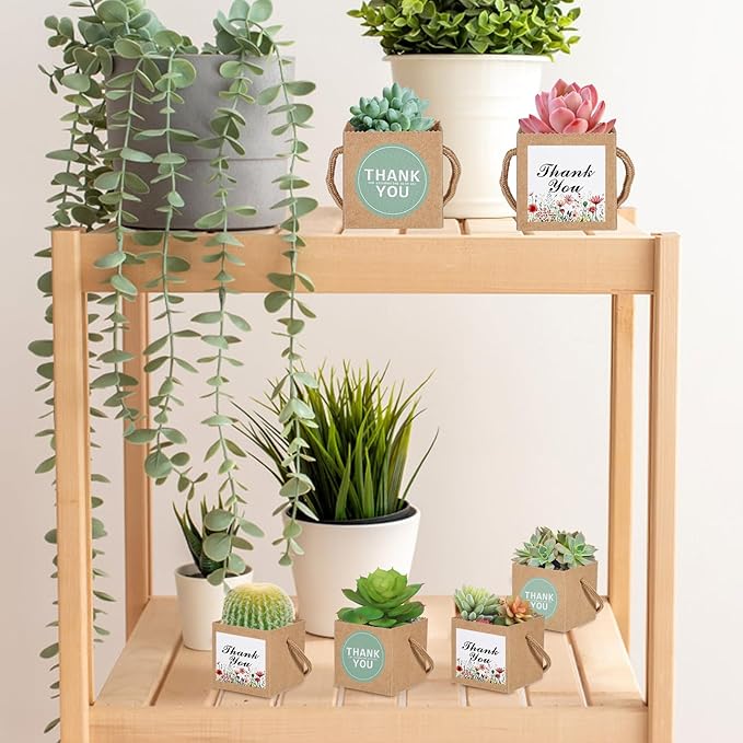 KesaPlan 50 PCS Succulent Wrap Bags with 100 PCS Thank You Stickers, Small Kraft Paper Succulent Gift Box for 2.36 Inch Pots, Wedding Party Favors for Guests Mini Succulent Pots Box for Baby Shower