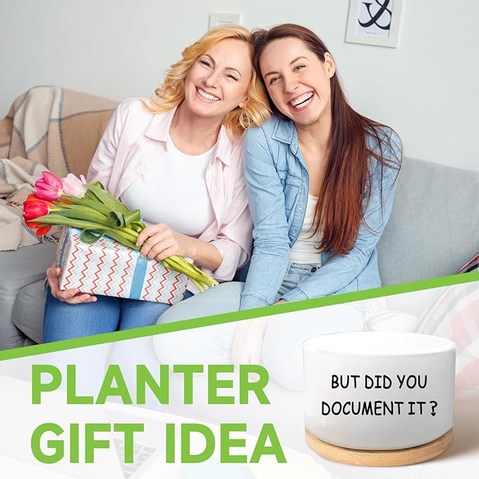 Office Desk Shelf Decor, Succulent Plant Pot, Ceramic Flower Cactus Planter Office Accessories Gifts for Coworker Employee Colleague Women Men Friend, But Did You Document It (Plants Not Included)