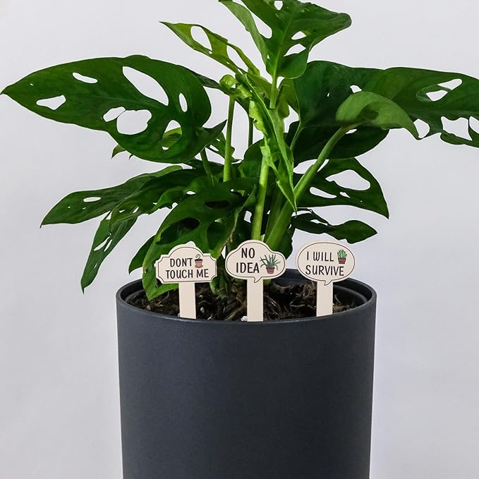 Lurrose 15PCS Wooden Garden Plant Markers Funny Printed Words Reusable Succulent and Vegetable Labels Indoor Outdoor Plant Tags Home Garden