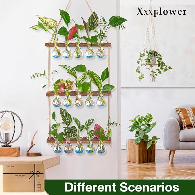 XXXFLOWER Wall Hanging Propagation Station Planters Wall Terrarium for Home Office Plant Hanger Flower Vases Accessories-3 Bulb Vase