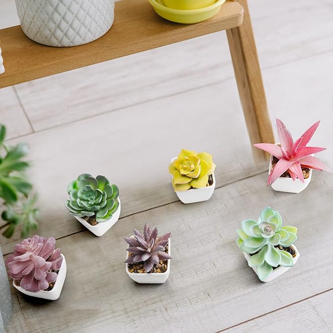 18 Set Artificial Faux Succulents in Pots Artificial Succulent Plant for Women Assorted Decorative Small Fake Plant Potted Faux Cactus Plant for Shelf Desk Room Bedroom Bathroom Office Decor (Cute)
