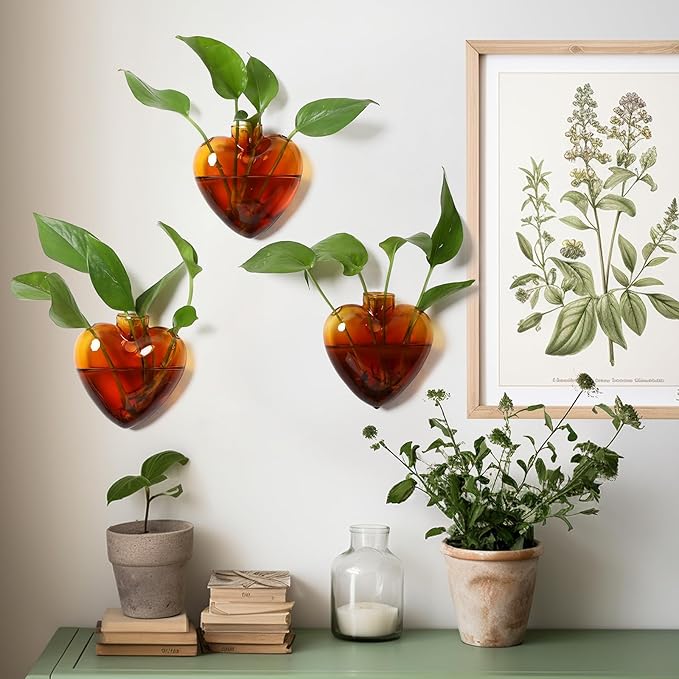Wall Hanging Planter Propagation Station for Indoor Plants Glass Vase Air Plant Holder Gift for Women Girlfriend Plant Lover