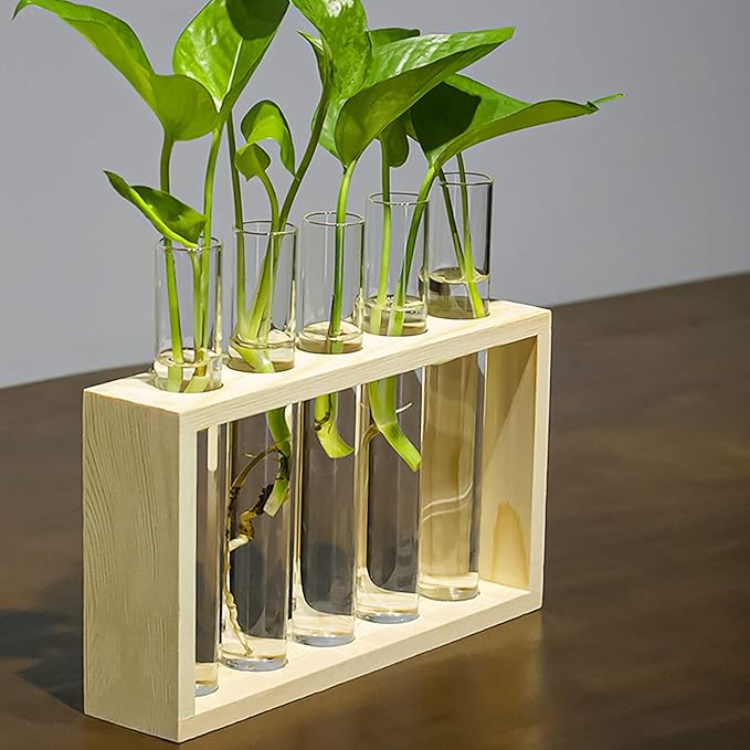 Kingbuy Wall Propagation Station with 5 Test Tube Vases - Vintage Wood Stand Wall Hanging Planter for Plants, Tabletop Terrarium Windowsill Decor Kitchen Herb Garden Accessory, Burlywood