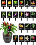 20Pcs Garden Signs for Vegetables 20 Styles Garden Markers for Vegetables Outdoor Garden Labels Markers Waterproof Reusable Plant Stakes Tags with Names for Vegetable Indoor Outdoor Decoration