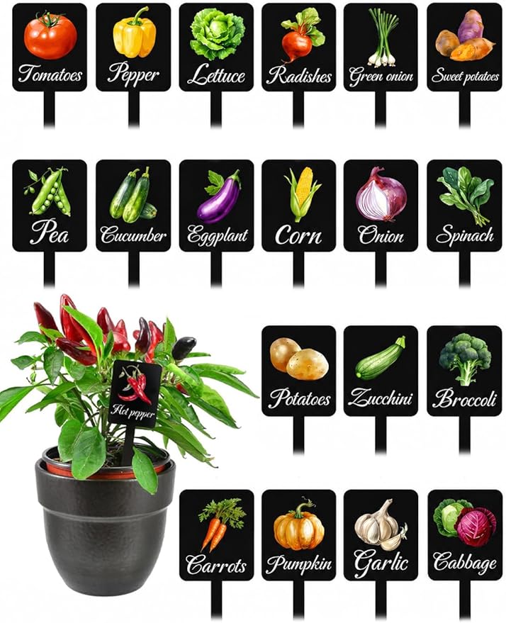 20Pcs Garden Signs for Vegetables 20 Styles Garden Markers for Vegetables Outdoor Garden Labels Markers Waterproof Reusable Plant Stakes Tags with Names for Vegetable Indoor Outdoor Decoration