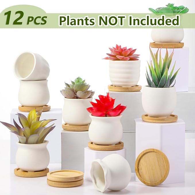 Remerry 12 Pcs 2.5 Inch Mini Succulent Pots with Bamboo Tray White Ceramic Pots Color Your Own DIY Small Planters Containers for Flower Cactus with Drainage Hole for Plant Lover