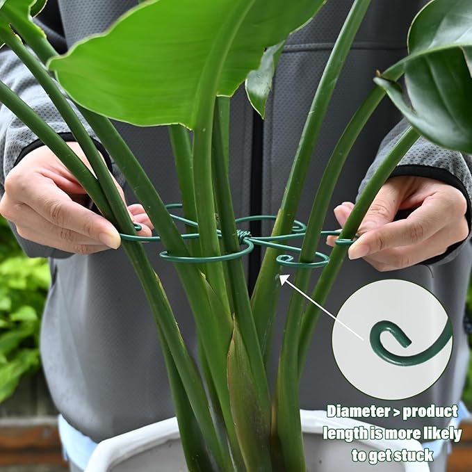 YOHSNOR 5PCS Monstera Plant Support Hook Green, 5.5IN - Durable Metal Stem Support for Indoor Plants, Adjustable & Easy to Install, Ideal for Monstera, Fishbone Cactus, and Decorative Plant Care