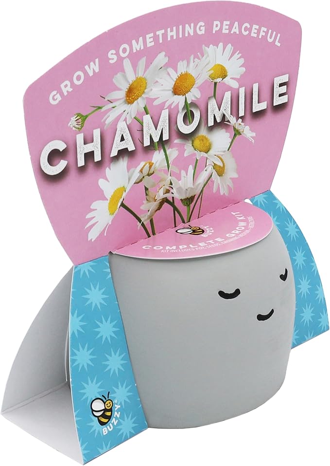 BUZZY Seeds Peaceful Face Planter Grow Kit, 3-Pack – Aloe, Moss Rose & Chamomile Seed Starter Pots with Growing Medium, Cute Decorative Face Pots, Indoor Gardening Gift Set