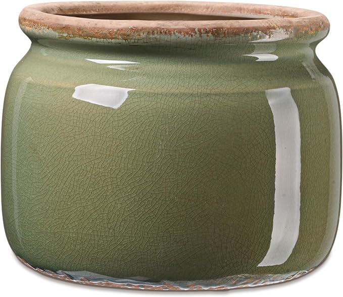 7.7" Large Ceramic Plant Pot Country Green Vintage Planter Crackle Glaze Decorative Farmhouse Flowers Pot with Drainage for Indoor Outdoor Plants Home Shelf Kitchen Office Patio Decor Gift