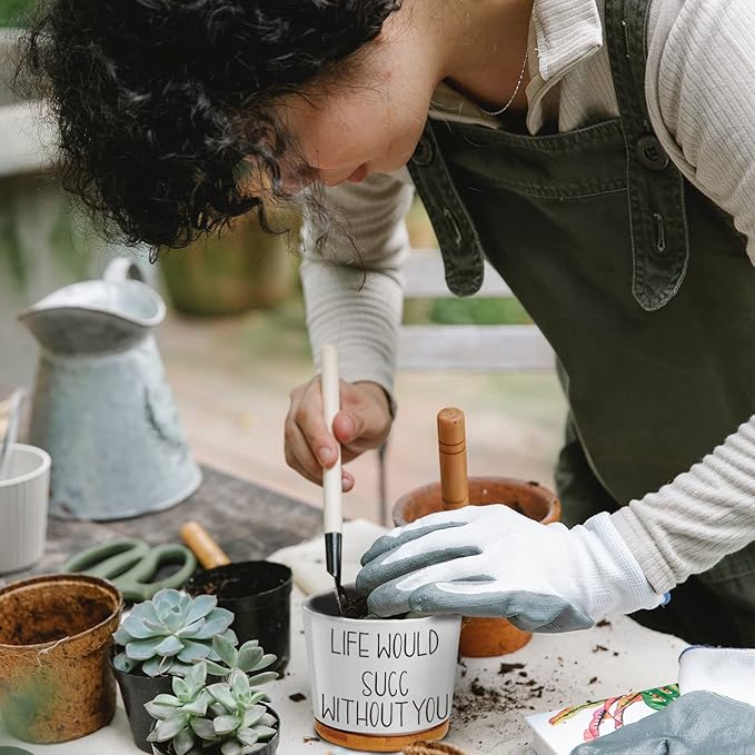 Funny Plant Pots, 3.15 inch Ceramic Flower Succulent Pots with Drainage Holes and Saucers, Cute Cactus Planters for Indoor Plants, Birthday Gifts for Women, Pack of 3 - Plants Not Included