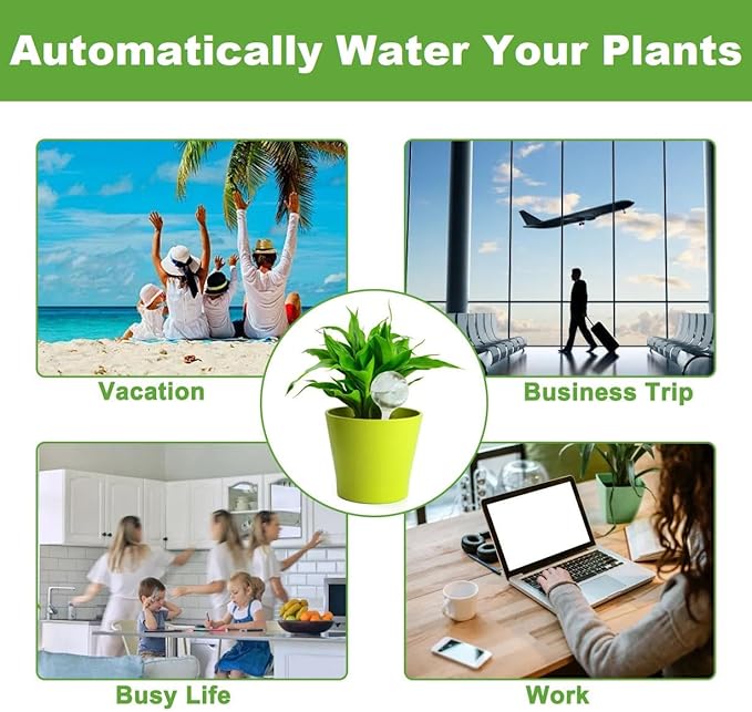 Plant Watering Globes, Self Watering Bulbs for Indoor & Outdoor Plants, Plastic Self-Watering Balls Irrigation Device Automatic Water System (Clear, Large 10 Pack)