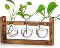 Kingbuy Glass Plant Terrarium with Retro Wood Stand – 3 Bulbs Propagation Station, Indoor Garden Planter & Bulb Vase, Desktop Decor for Home Kitchen Wedding, Gift for Women and Plant Lovers
