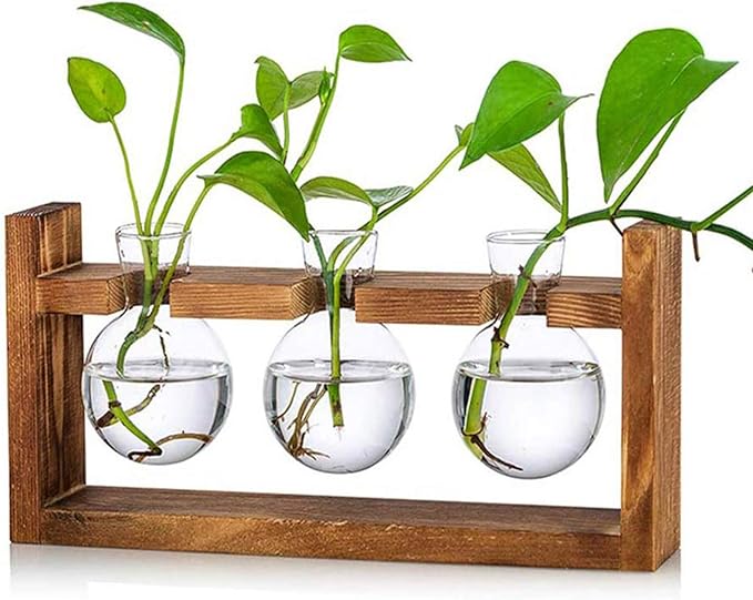 Kingbuy Glass Plant Terrarium with Retro Wood Stand – 3 Bulbs Propagation Station, Indoor Garden Planter & Bulb Vase, Desktop Decor for Home Kitchen Wedding, Gift for Women and Plant Lovers
