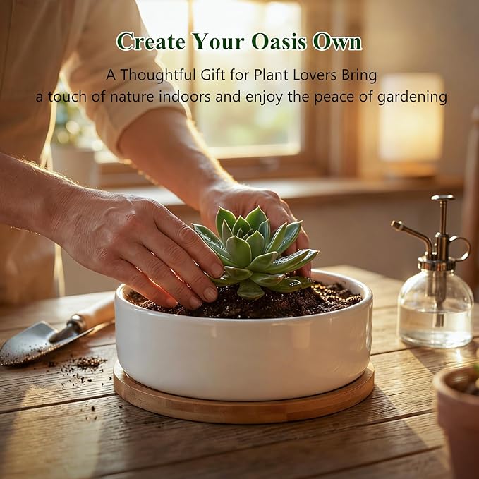ZOUTOG Succulent Pots,6 Inch Succulent Planters with Drainage and Tray,White Ceramic Planters for Indoor Plants,Round Shallow Flower Plant Pots,Pack of 6
