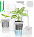 10 Pack 2.5" Mini Self Watering Pots for Indoor Plants, Small Clear Plastic Planters with Drainage & Water Level, Semi Hydroponic Pots for African Violet, Propagation and Succulents