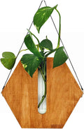 Firlar Premium Wall Mounted Propagation Station Wall Hanging Planter Tubes, Wooden Base Glass Plant Pots Plant Terrarium, Indoor Wall Vases for Modern Living Office Spaces(Brown)
