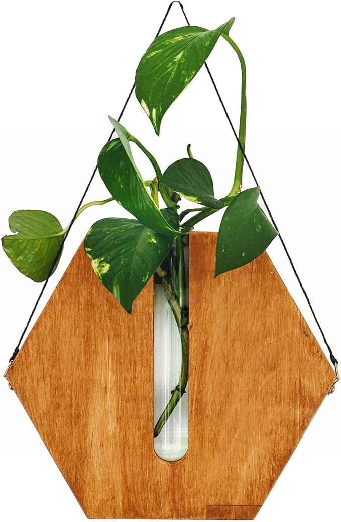 Firlar Premium Wall Mounted Propagation Station Wall Hanging Planter Tubes, Wooden Base Glass Plant Pots Plant Terrarium, Indoor Wall Vases for Modern Living Office Spaces(Brown)