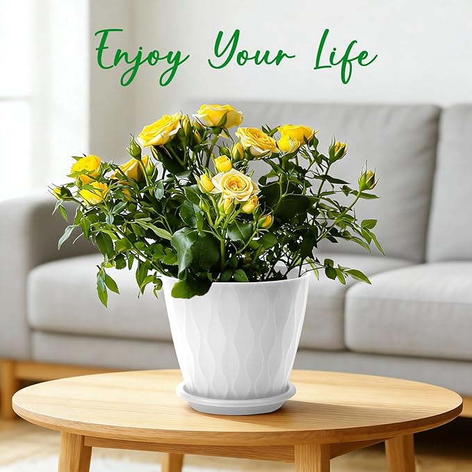 YNNICO 6 inch Plant Pots, 6 Pack Flower Pots Outdoor Indoor, Planters with Drainage Hole and Tray Saucer-White