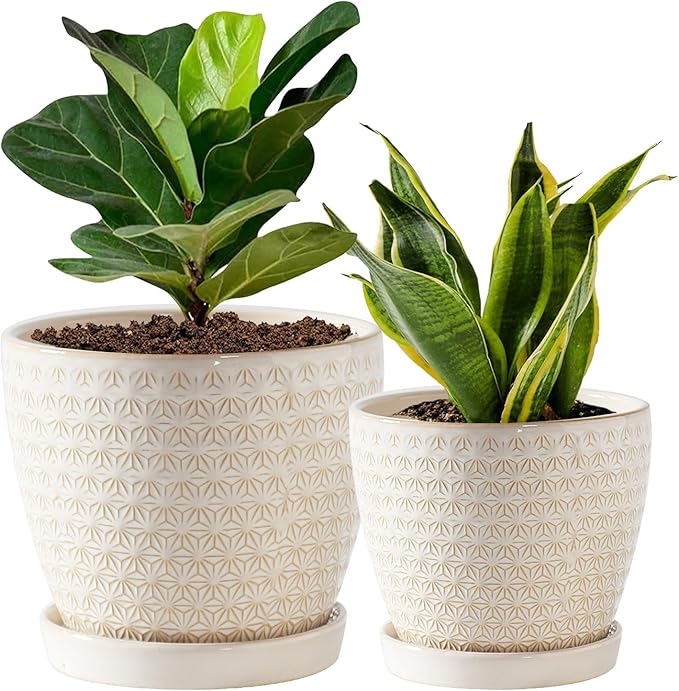 Plant Pots, Flower Pots, Planters for Indoor Plants(6.5+5.5inch), Flower Pots for Indoor Plant with Drainage Hole and Saucer, Ceramic Pots for Plants with Hole Mesh Pad,Reactive Glaze White