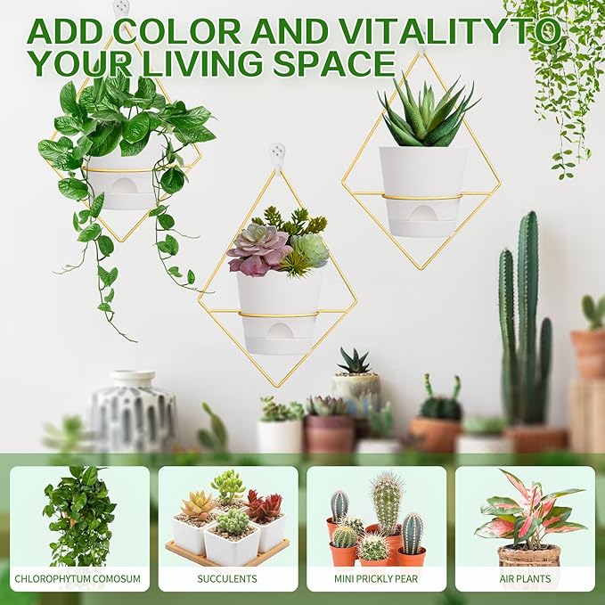 Koalaime 3 Sets Wall Planters for Indoor Plants Geometric Hanging Planters for Indoor Plants - Self-Watering Flower Pots with Black Metal Holder, Mounted Succulent Planter, 5" Black Plant Pot