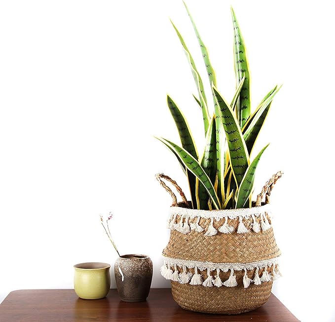 Tassel Macrame Woven Seagrass Belly Basket for Storage, Decoration, Laundry, Picnic, Plant Basin Cover, Groceries and Toy Storage (Medium, Tassel)