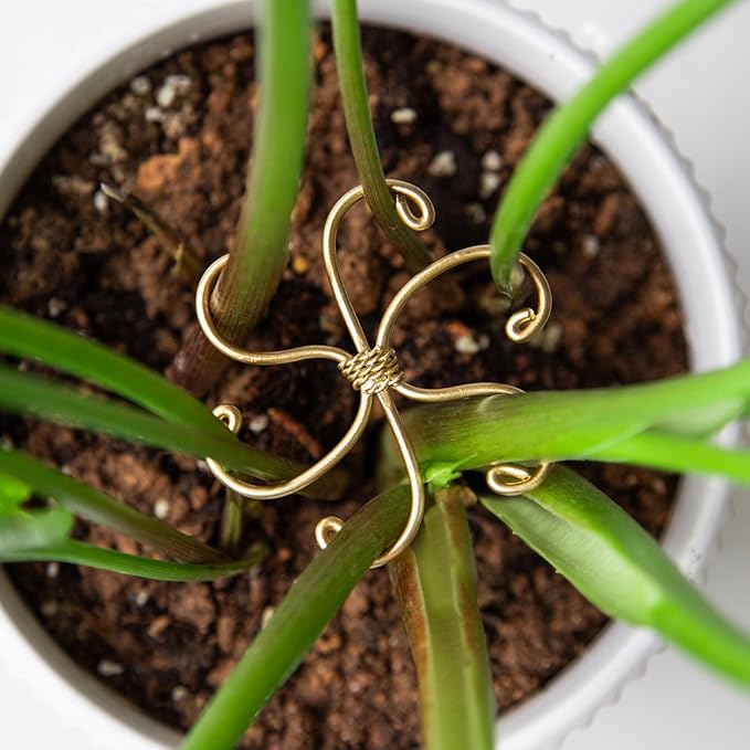 Yohsnor Monstera Plant Stem Support Set - 5 Durable Stabilizers (2.75"x2.75") for Indoor Plants, Leaf Holder & Cactus Stake - Keep Monstera Healthy & Upright - Ideal Gift for Plant Lovers