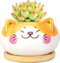 Cute Cat Animal Ceramics Planter Succulent Pot with Drainage, Plant Pot for Indoor Mini Plants Flower Cactus, Home and Garden Decor Fun Gifts