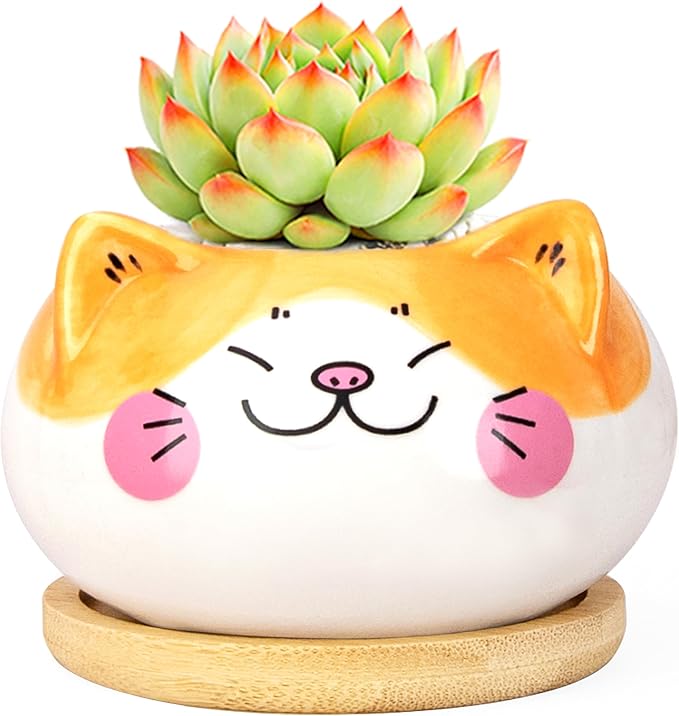 Cute Cat Animal Ceramics Planter Succulent Pot with Drainage, Plant Pot for Indoor Mini Plants Flower Cactus, Home and Garden Decor Fun Gifts