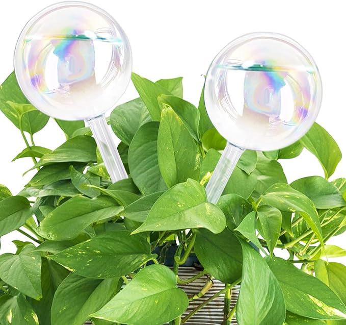 2Pcs Plant Watering Globes,Iridescent Rainbow Glass Self Watering Planter Insert,Clear Watering Bulbs for Indoor,Outdoor,Flowerpot,Hanging Plants,Home Garden
