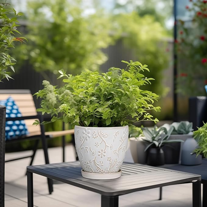 MPotTo 6 Inch Ceramic Plant Pot for Indoor Plants Outdoor Round Planter Flower Pot with Drainage Hole and Saucer for Home Garden Office Decor White