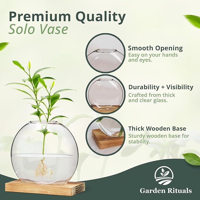 Plant Propagation Station Vase, Glass Terrarium Jars, Modern Hydroponic Planters for Indoor Plants, Desktop Glass Pots for Plants Round Vases Plant Holder Home Office Decor, 1Vase