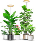 Aokrean Grow Lights for Indoor Plants, Full Spectrum Plant Lights for Indoor Growing with 6/12/16H Timer, 3 Optional Spectrums, 5 Brightness, Height Adjustable 10"-65" Wood Grain Growing Lamp