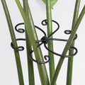 Yohsnor Monstera Plant Support Hook - 4.1x4.1IN 5PCS, Durable Adjustable Stem Support System, Gentle Protection for Monstera and Fishbone Cactus, Professional Indoor Plant Stabilizer
