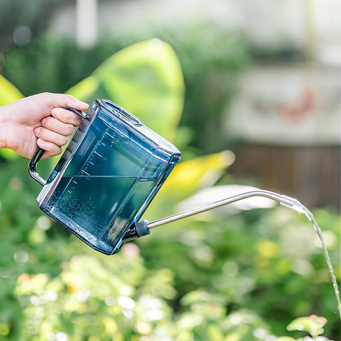 1L Small Watering Can for Indoor Plants, Lightweight Watering Can Outdoor with Long Spout, Indoor Waterings Cans for House Plants, Clear Plastic Waterings Cans for Garden Flower (Blue)