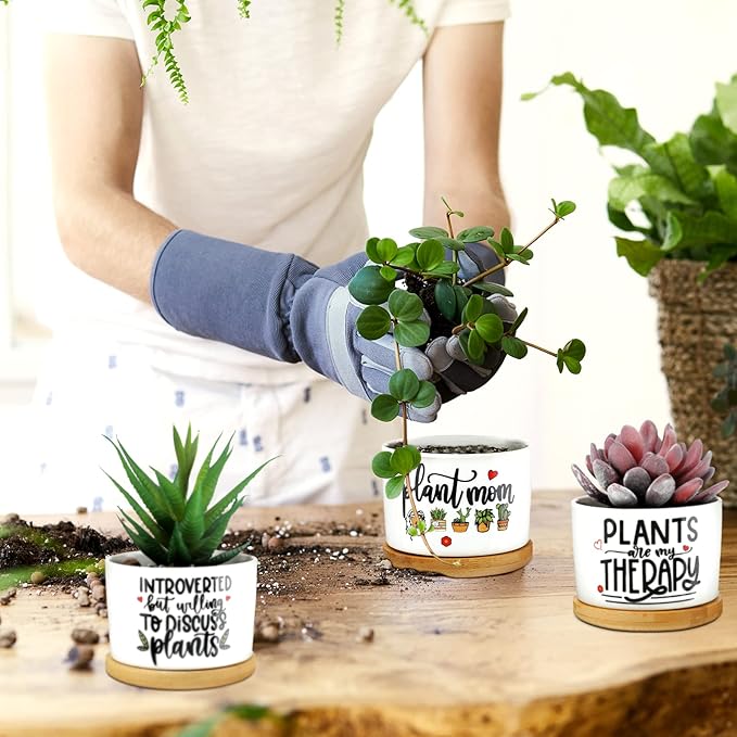 6 Pcs Funny Succulent Plant Pot Cute Christmas Teacher Gifts Box Set Plant Pot with Bamboo Tray Ceramic Funny Planter Succulent Accessories for Women Teacher Christmas Birthday Gifts (Cute Style)