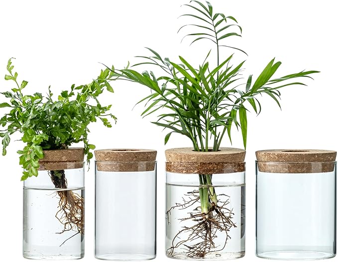 Plant Propagation Stations for Plants, 2 Size Glass Propagation Vases for Propagating Hydroponic Indoor Home Office Decor, Tabletop Glass Planter Gift for Plant Lovers (4)