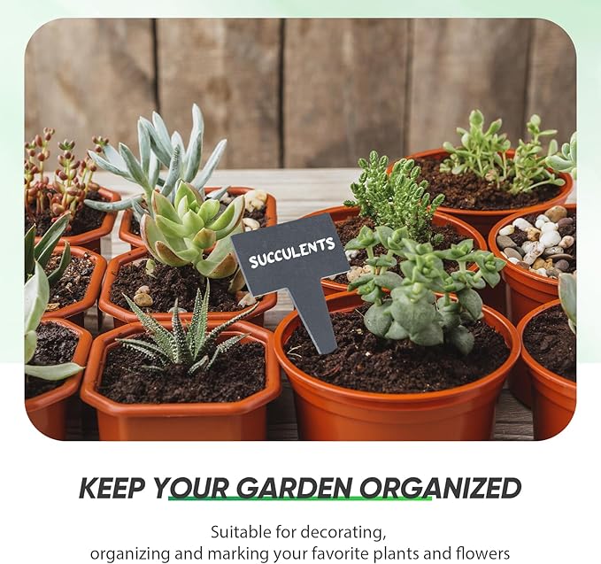 Wesiti 12 Pcs Reusable Slate Plant Labels T Type Plant Tags Garden Label Stakes Waterproof Garden Signs with Stone Chalks