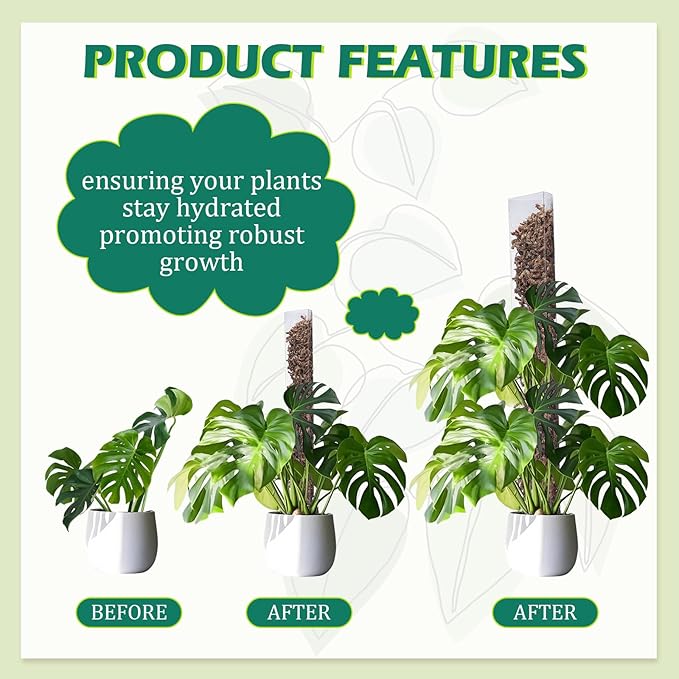 10 Pieces Plastic Moss Pole for Monstera Including 4 Pcs 24 Inch Clear Plant Poles for Indoor Climbing and 6 Pcs 15 Inch D Shape Stackable Plant Support Kit Work with Sphagnum Moss